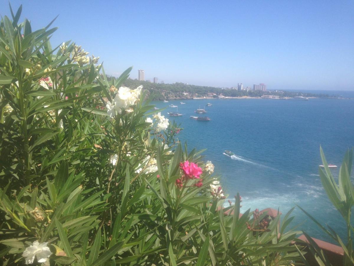 Daire 4 Persons Flat House - Cheap Homestay Sleeping Place Antalya